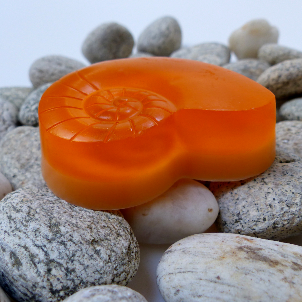 Pomeranč a skořice_ulita oranžová