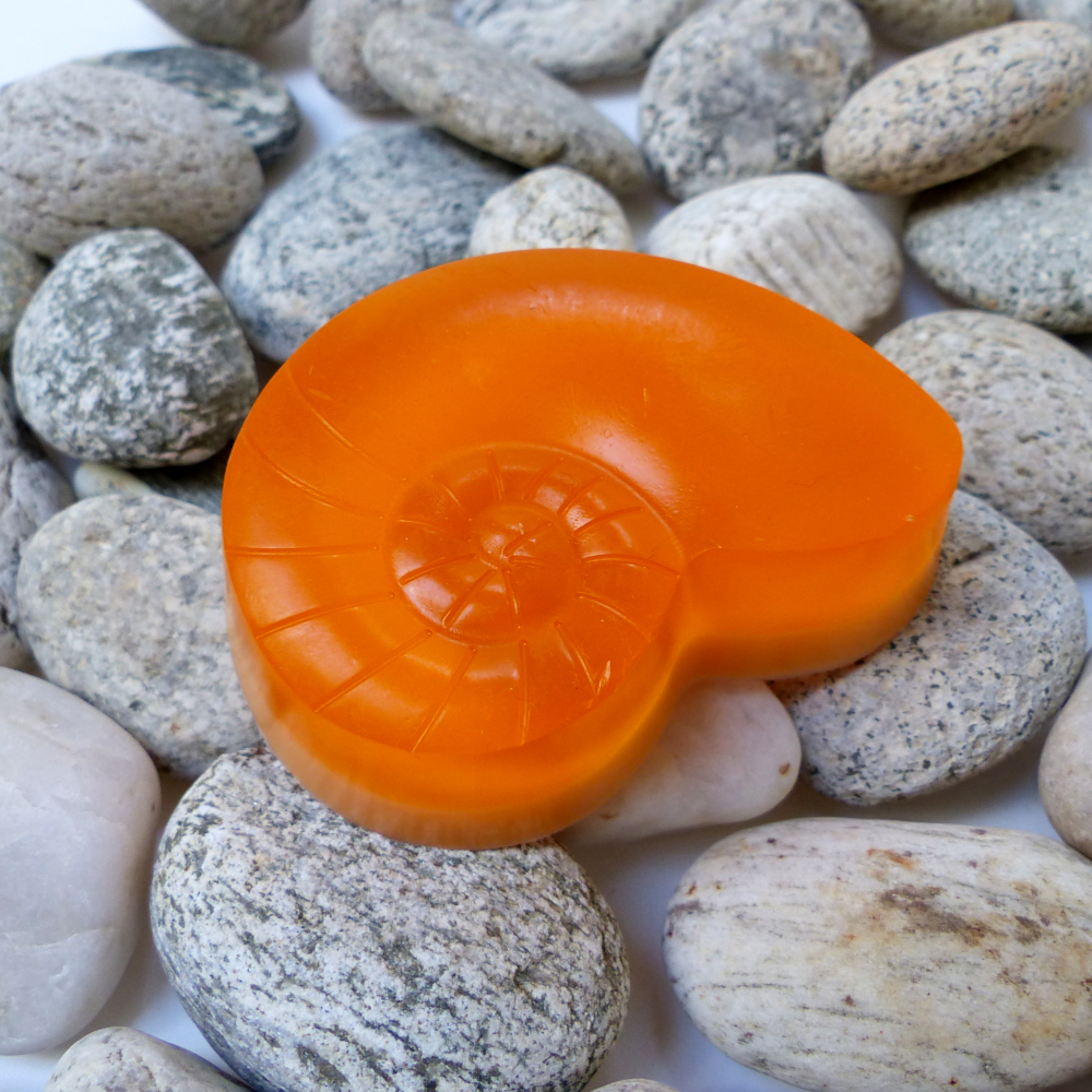Pomeranč a skořice_ulita oranžová
