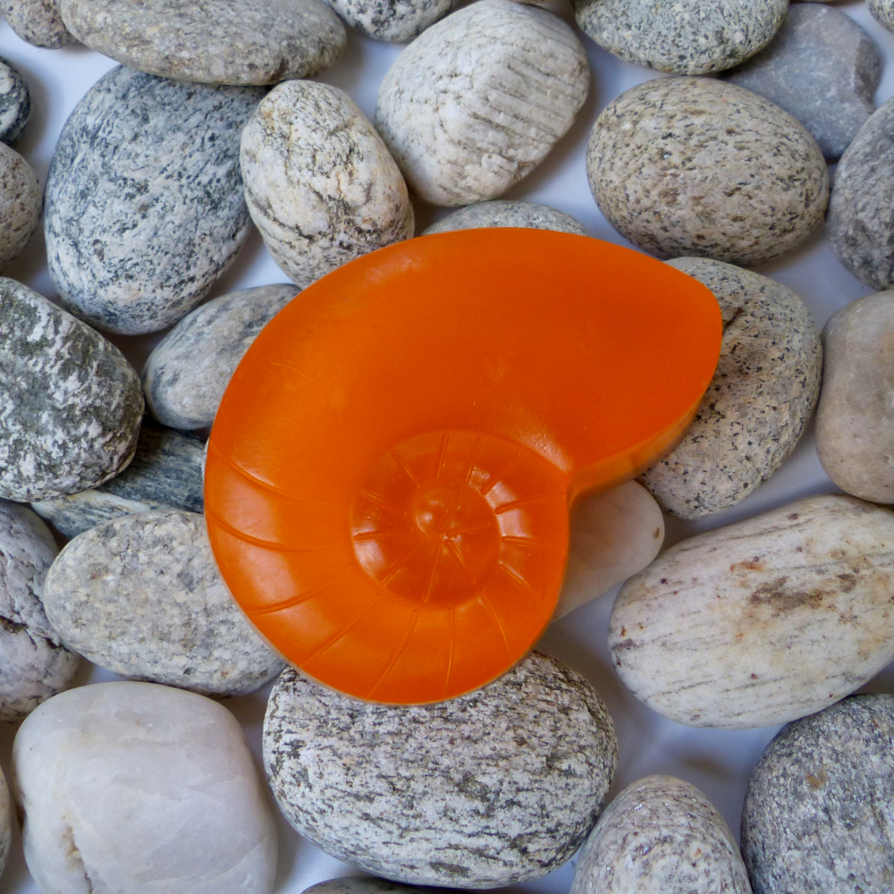 Pomeranč a skořice_ulita oranžová